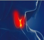 מחקר ישראלי מצא: תרופות נפוצות עלולות להגביר את הסיכון לבעיה בבלוטות הרוק-תמונה